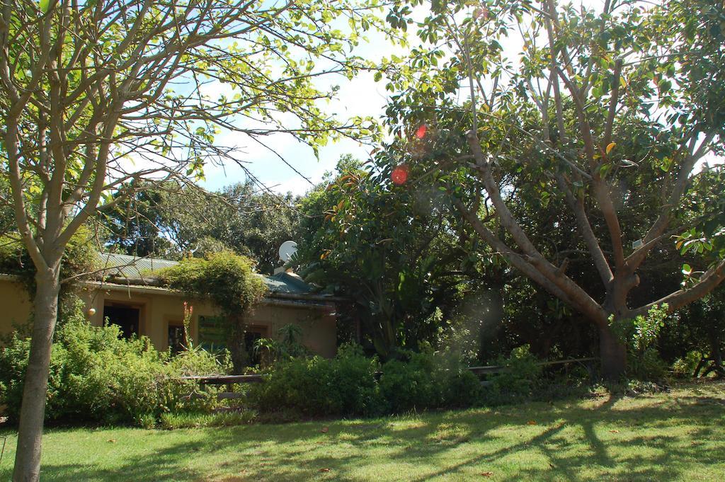 Fairy Knowe Backpackers Lodge Wildernis Exterior foto