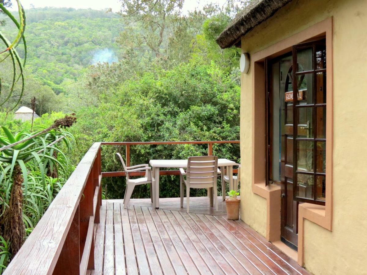 Fairy Knowe Backpackers Lodge Wildernis Exterior foto